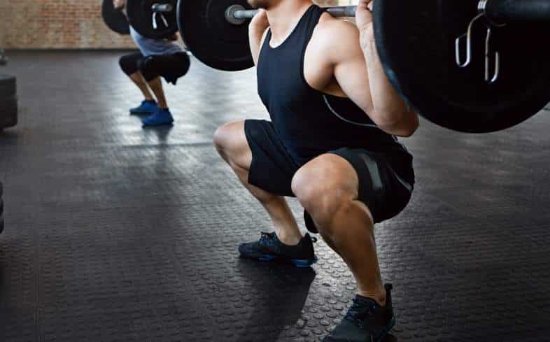 sumo squats muscles used