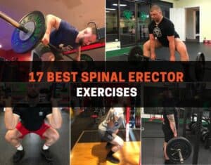 17 Best Spinal Erector Exercises