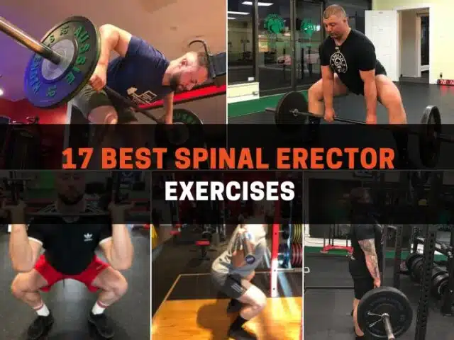 17 Best Spinal Erector Exercises (With Pictures)