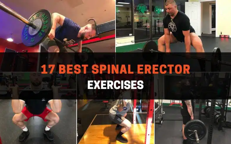 Best Spinal Erector Exercises