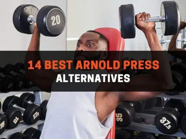 14 Best Arnold Press Alternatives (With Pictures)