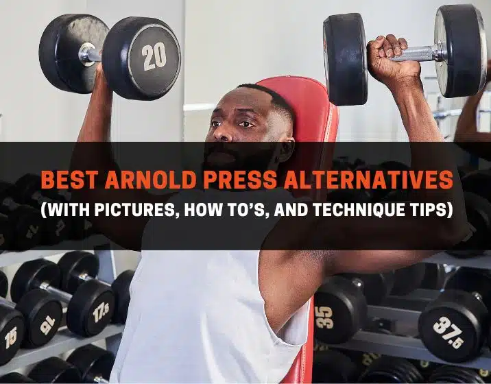 best arnold press alternatives