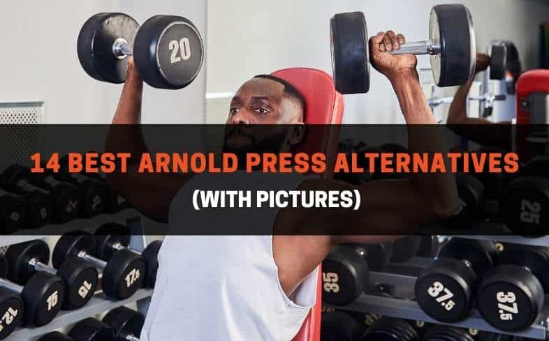 Best Arnold Press Alternatives