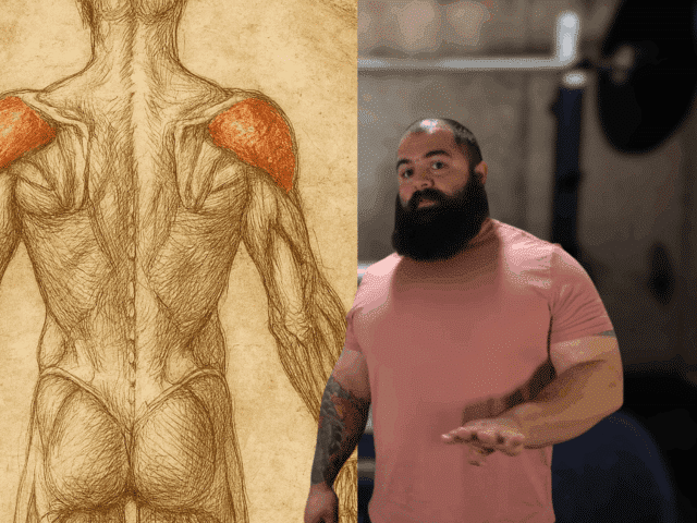 Underdeveloped Rear Delts: 8 Ways To Fix (That Actually Work)