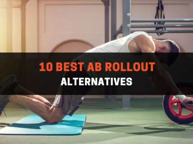 10 Best Ab Rollout Alternatives (With Pictures)