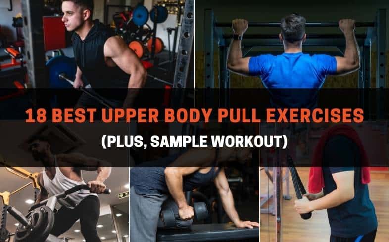 best upper body pull exercises
