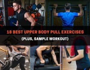 upper body pull exercises