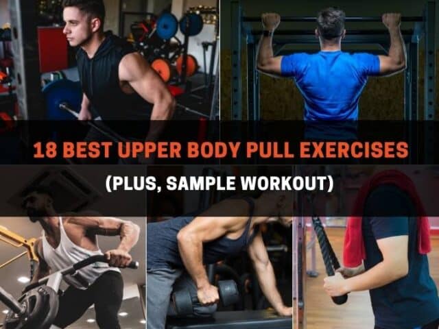 18 Best Upper Body Pull Exercises (Plus, Sample Workout)