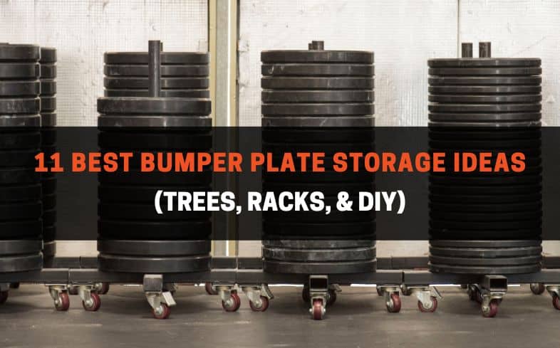11 best bumper plate storage ideas (Trees, Racks, & DIY)