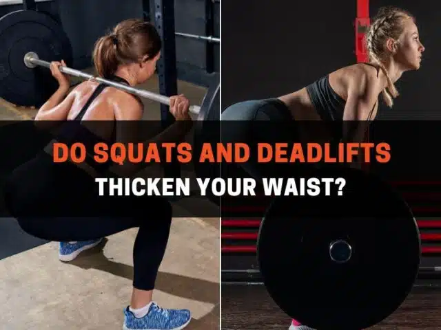 Do Squats and Deadlifts Thicken Your Waist?