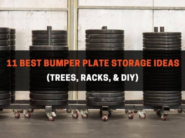 11 Best Bumper Plate Storage Ideas (Trees, Racks, & DIY)