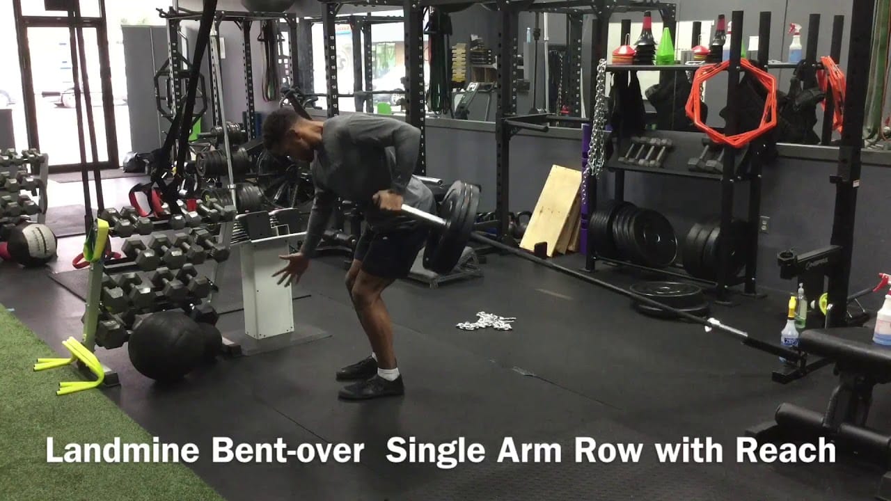 Hamilton Trained - 💥2 Great Back Exercises💥 🍩The Bent Over Row is an  amazing exercise for really building and sculpting the back (dumbbell or  barbell). 💎The only issue is for some people
