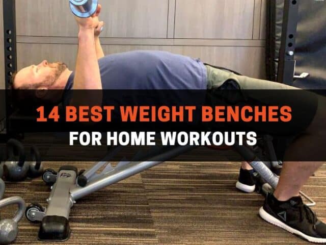 14 Best Weight Benches for Home Workouts