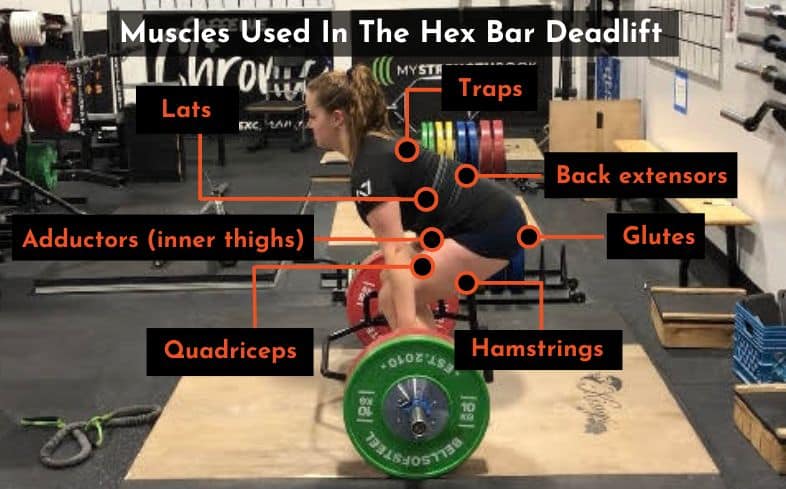 muscles worked during hex bar deadlifts