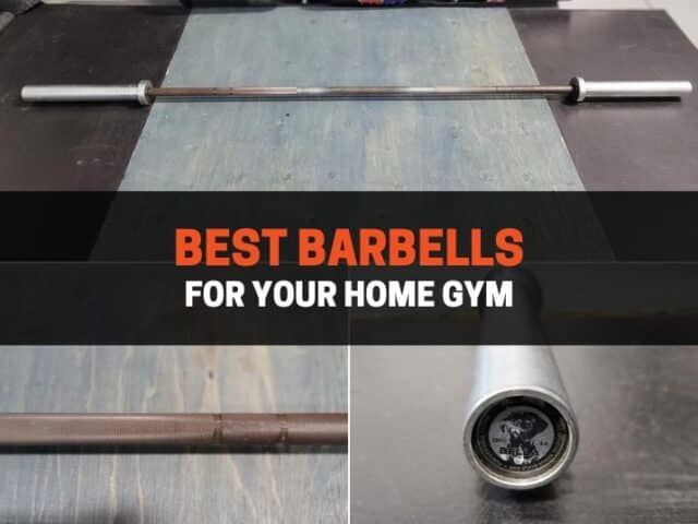 14 Best Barbells for Your Home Gym