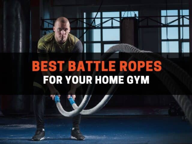 11 Best Battle Ropes for Your Home Gym