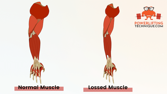Creatine cutting muscle mass loss