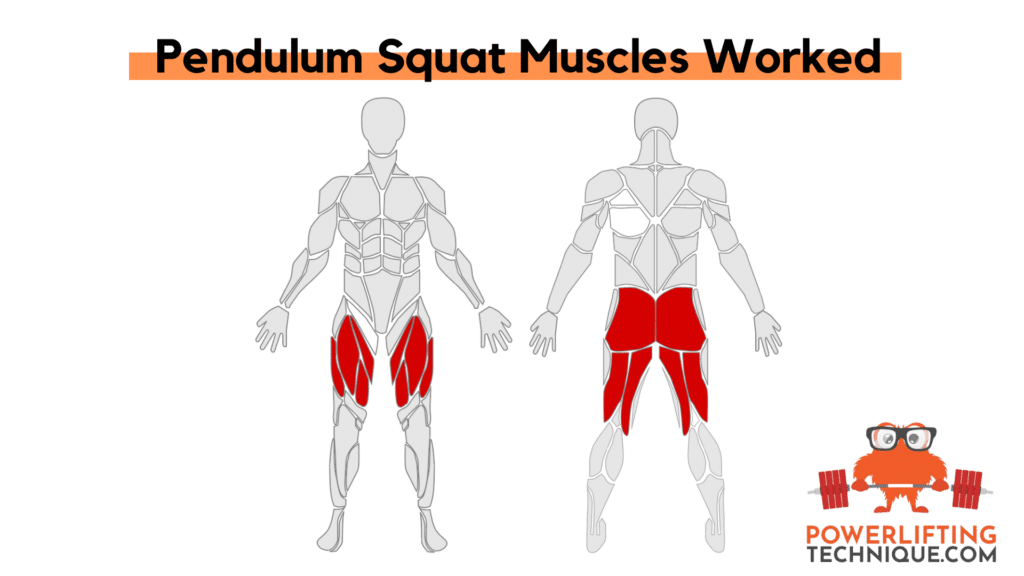 Pendulum Squat Muscles Worked