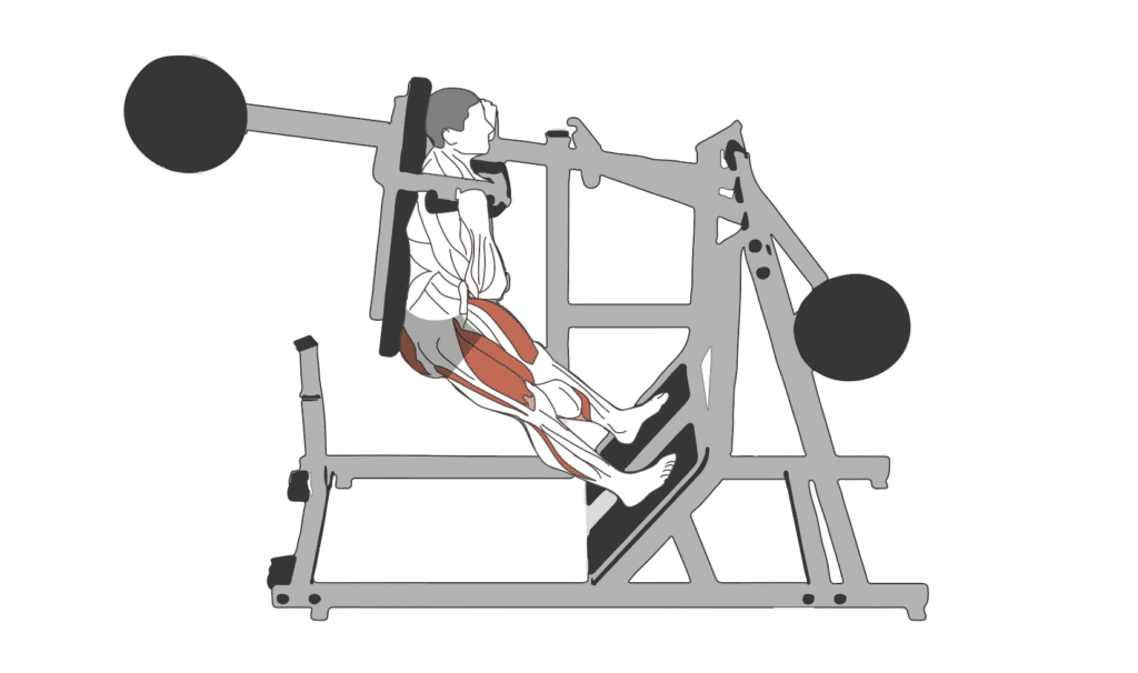 pendulum squat