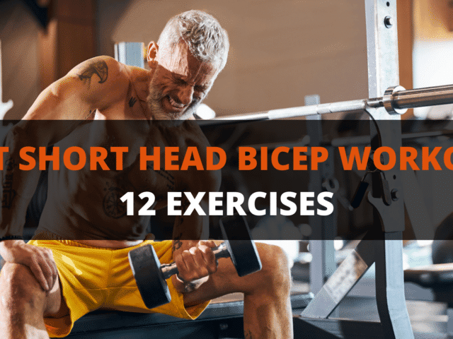12 Best Short Head Bicep Exercises for a Bigger Bicep Peak (With Sample Workouts)