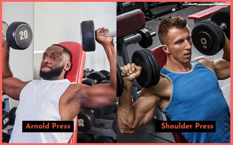 arnold press vs. shoulder press which is better