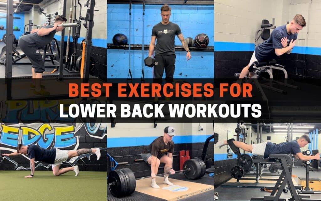 best exercises for lower back workouts featured