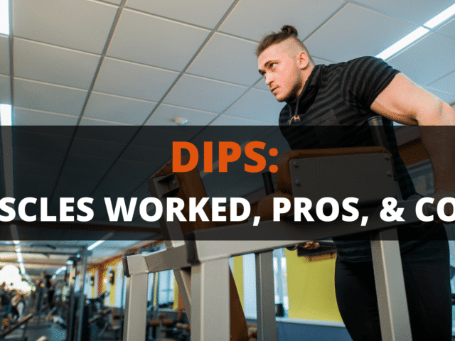 Dips: Muscles Worked, Pros, Cons & Variations