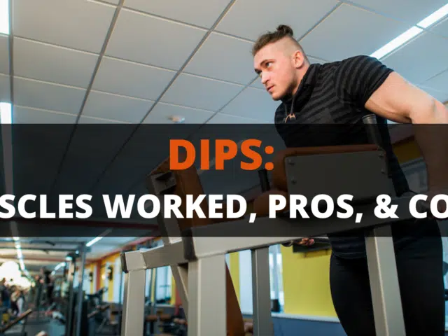 Dips: Muscles Worked, Pros, Cons & Variations