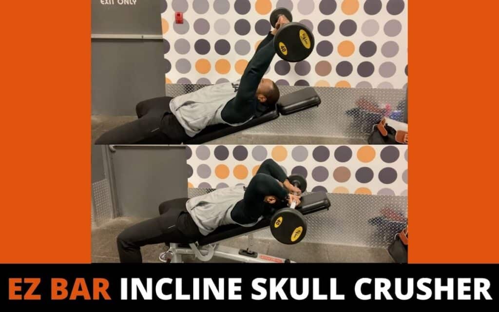 ez bar incline skull crusher is one of the best exercises for the long head of the triceps