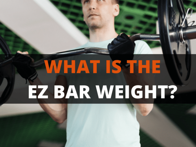 EZ Bar Weight: 4 Types, Sizes, & Capacities