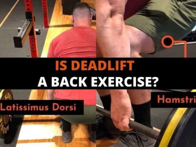 Is Deadlift A Back Exercise?