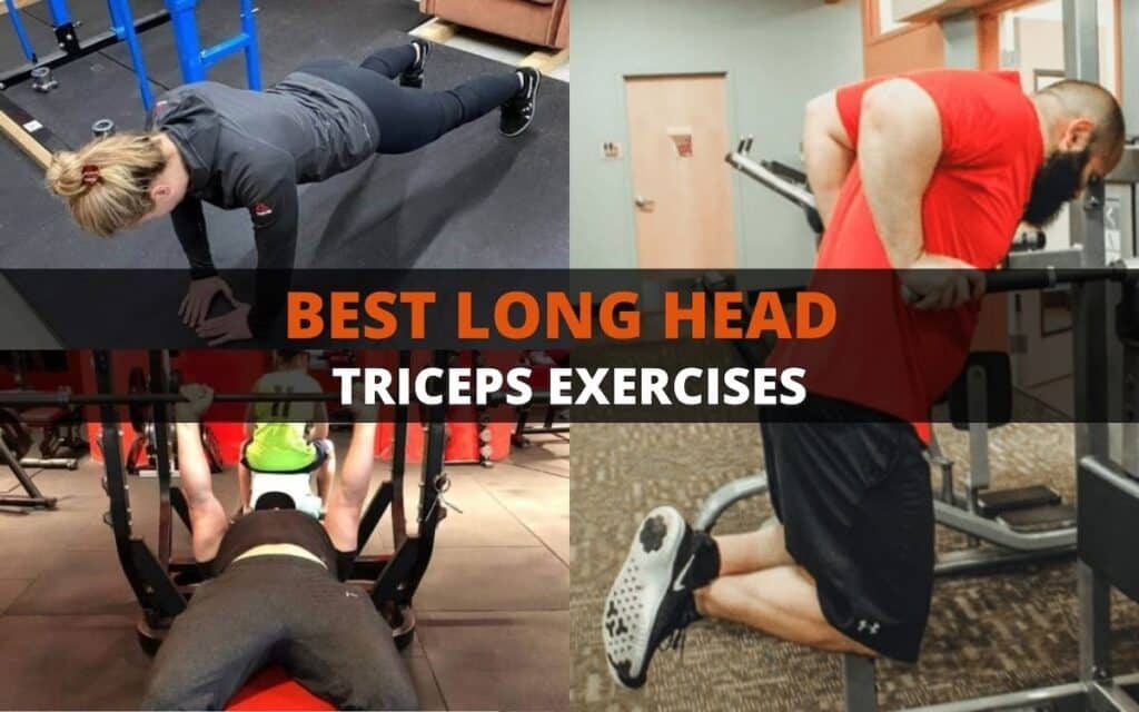 long head tricep exercises with exercises from Joseph Lucero and Avi Silverberg