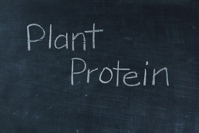 plant-protein-written-on-chalkboard-2022-11-11-06-07-08-utc