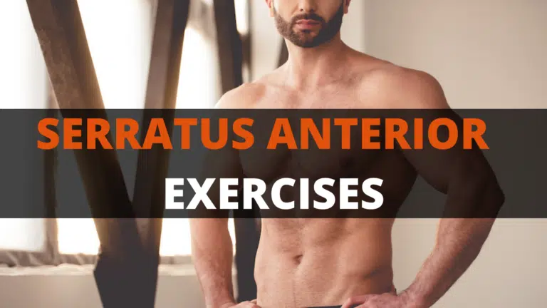 serratus anterior exercises