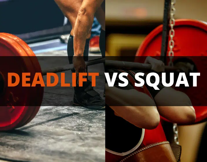 deadlift vs squat