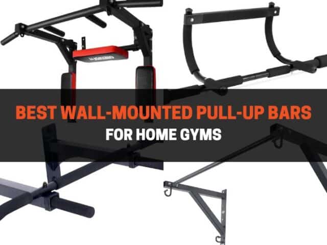 13 Best Wall-Mounted Pull-Up Bars for Home Gyms
