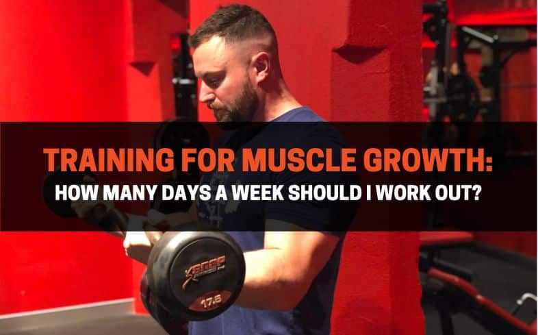 training for muscle growth