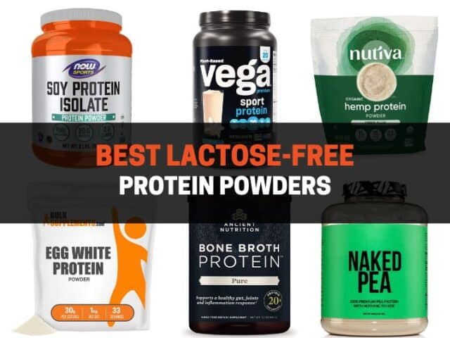 15 Best Lactose-Free Protein Powders