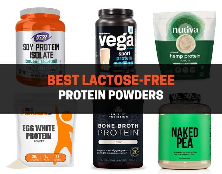 best lactose-free protein powders