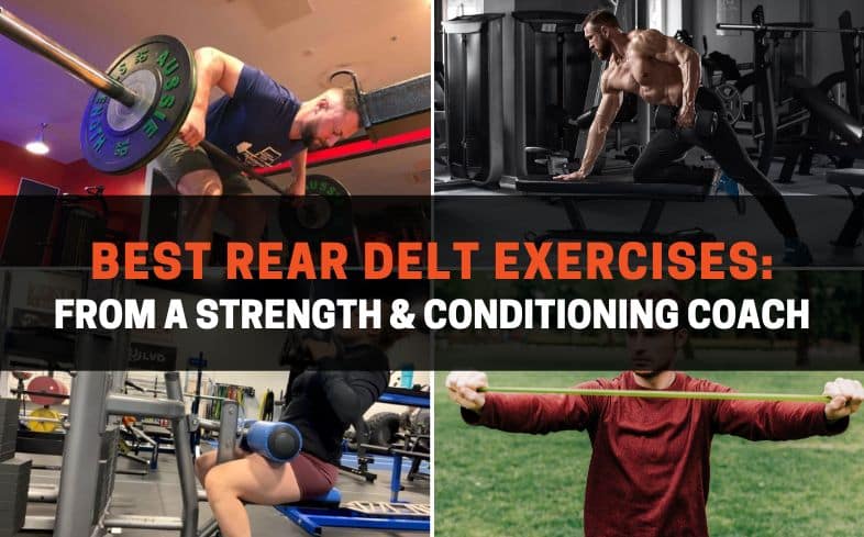 best rear delt exercises