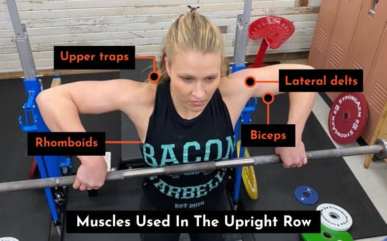 muscles used in the upright row