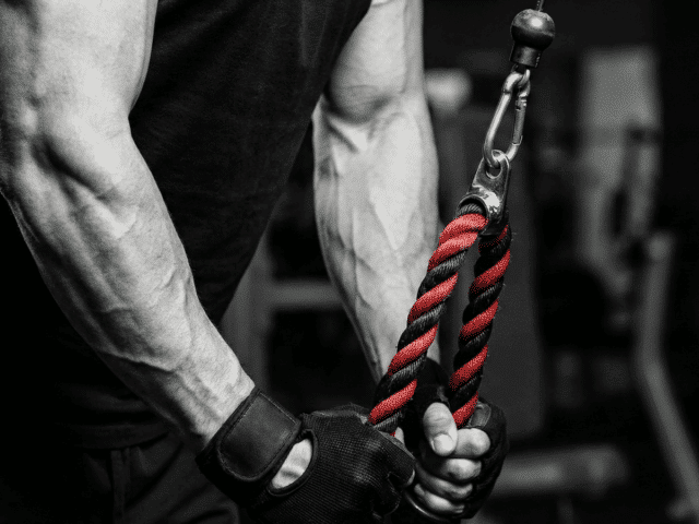 The Ultimate Tricep Cable Workout: 8 Moves for All 3 Heads