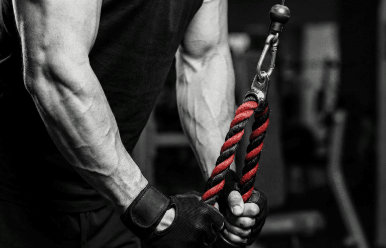 a lifter's hands gripping a dual rope attachment at the bottom of a pressdown