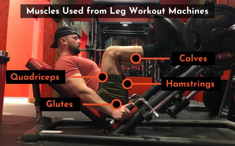 muscles used from leg workout machines