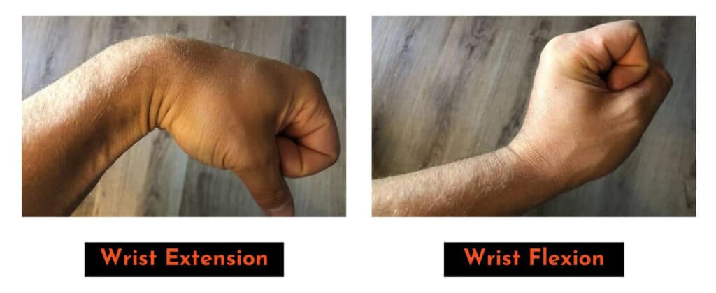 wrist extension and flexion