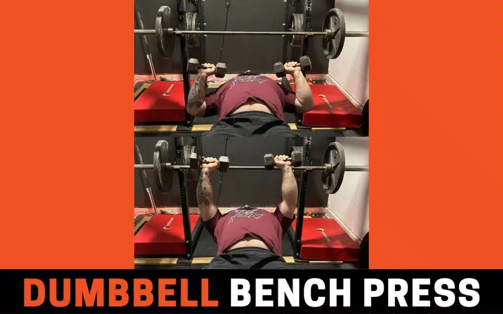 dumbbell bench press