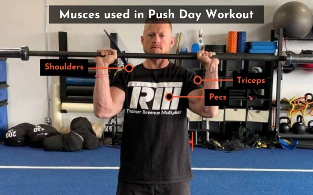 musces used in push day workout