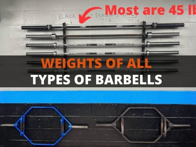 How Much Does a Barbell Weigh? 14 Types Explained