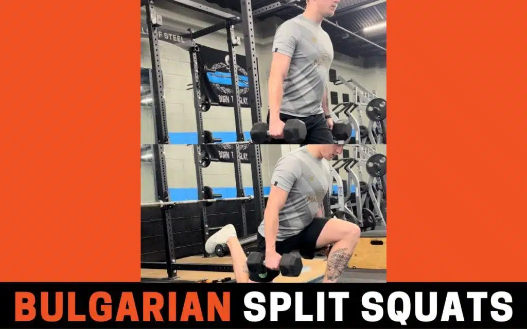 bulgarian split squats