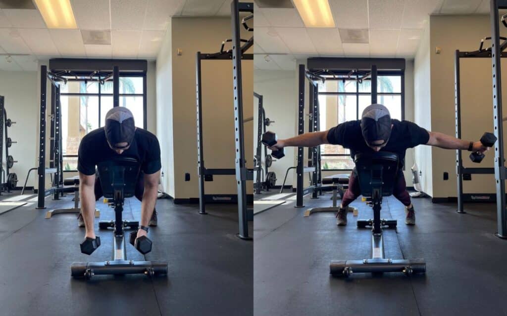 incline-supported dumbbell reverse fly